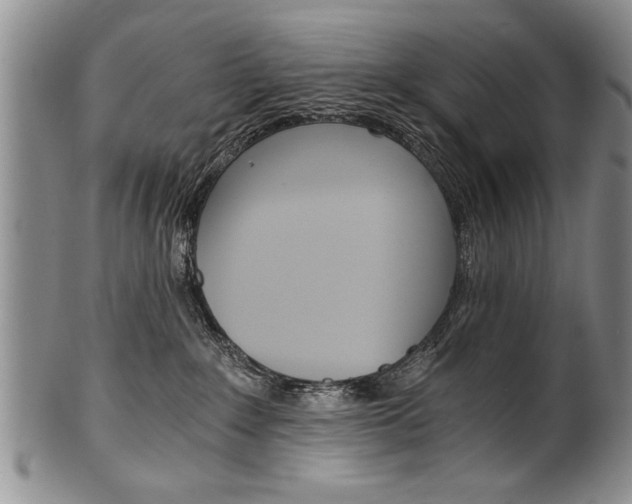 X0000101120235200806261053