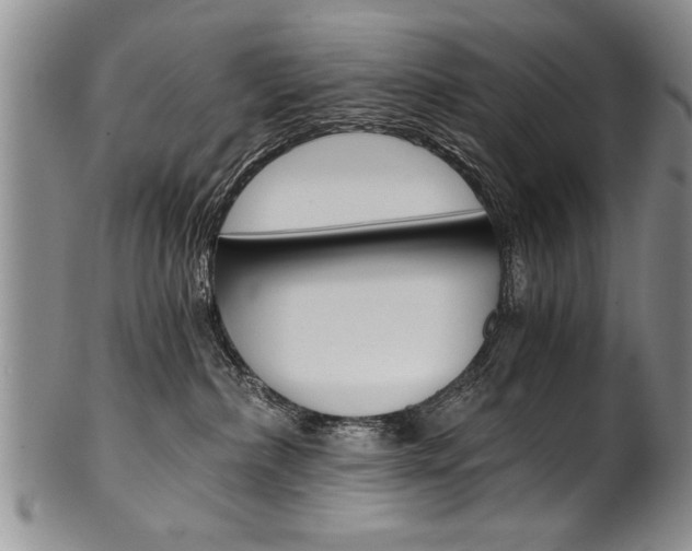 X0000101120236200806261053