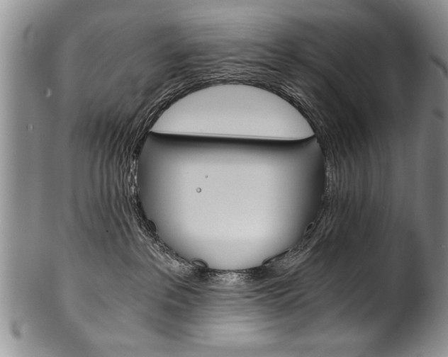 X0000101120237200806261053