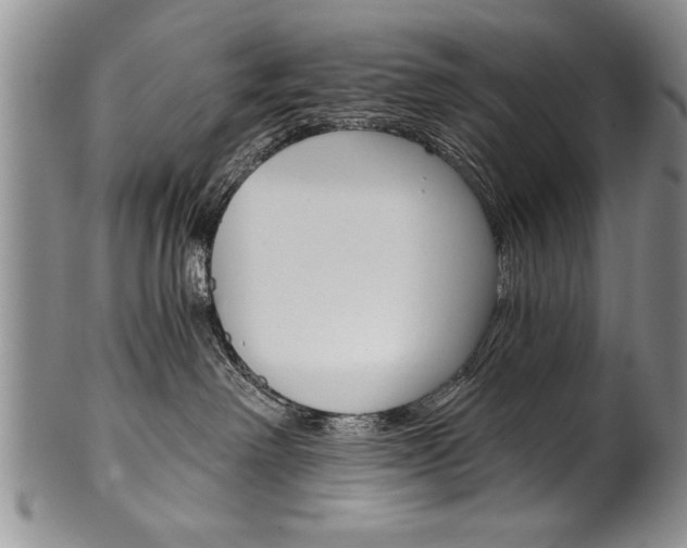 X0000101120238200806261053