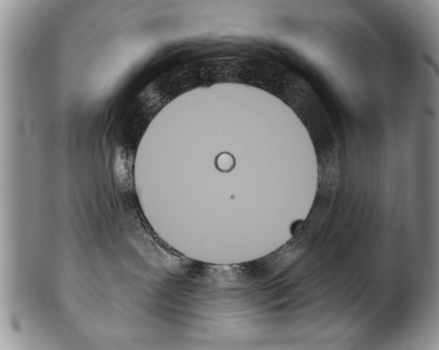 X0000101120239200806261053