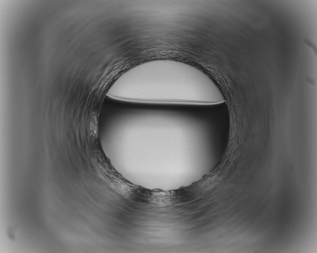 X0000101120240200806261053
