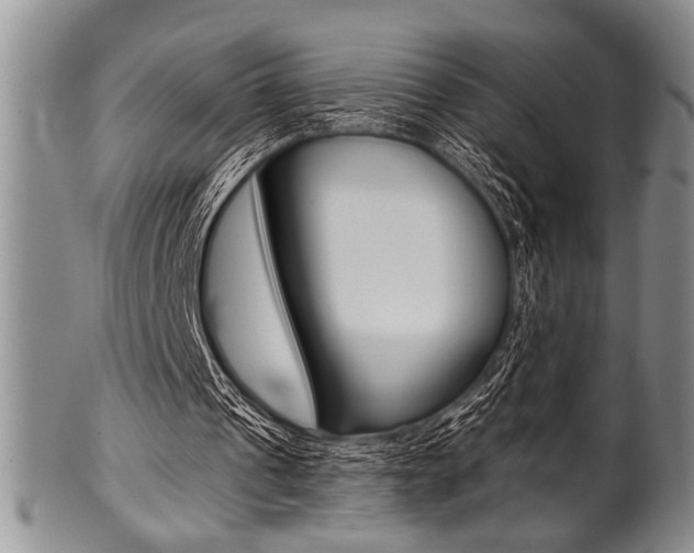 X0000101120241200806261051