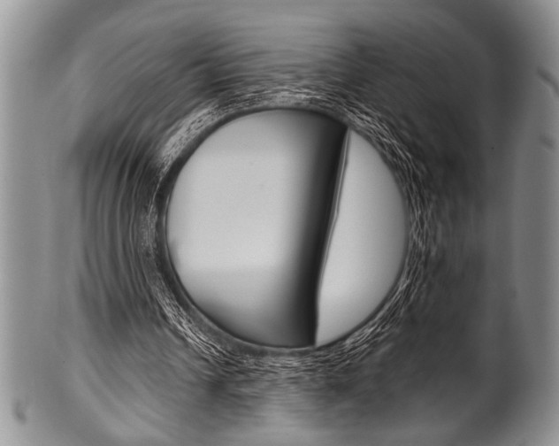 X0000101120242200806261051