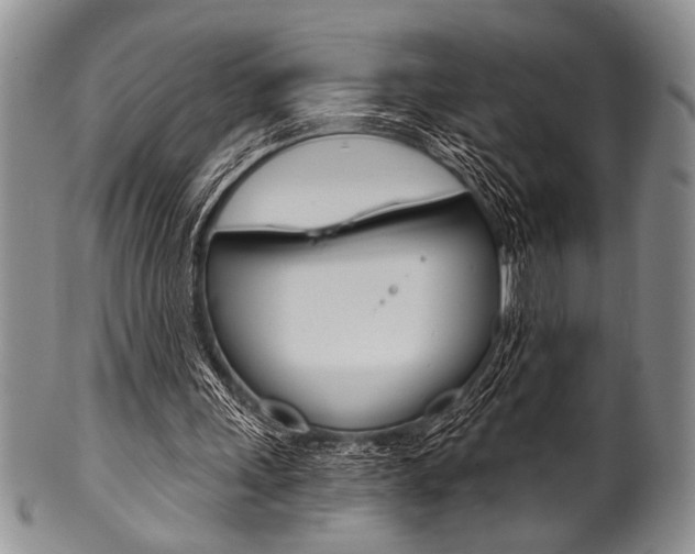 X0000101120243200806261052