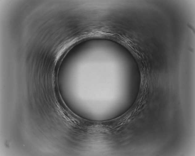 X0000101120244200806261052