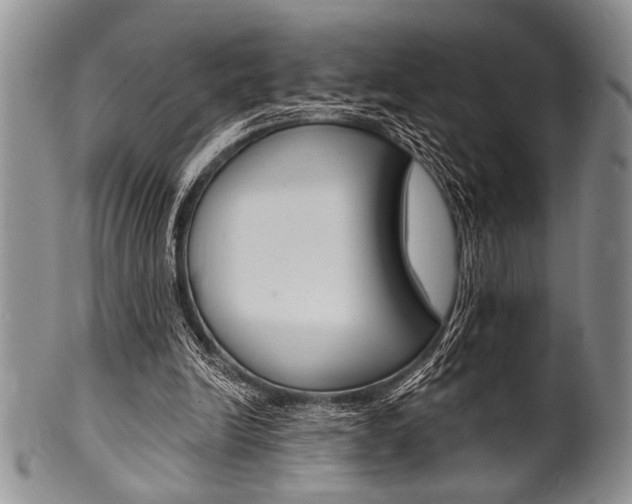 X0000101120246200806261052