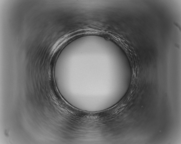 X0000101120247200806261052