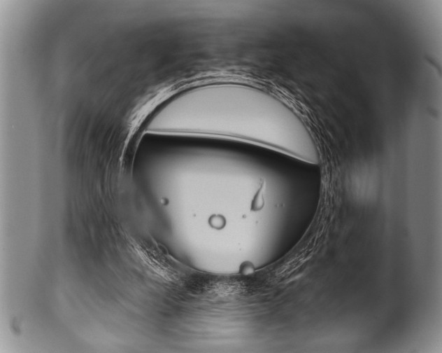 X0000101120248200806261052