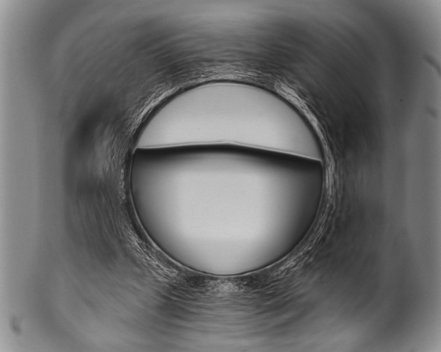 X0000101120249200806261052