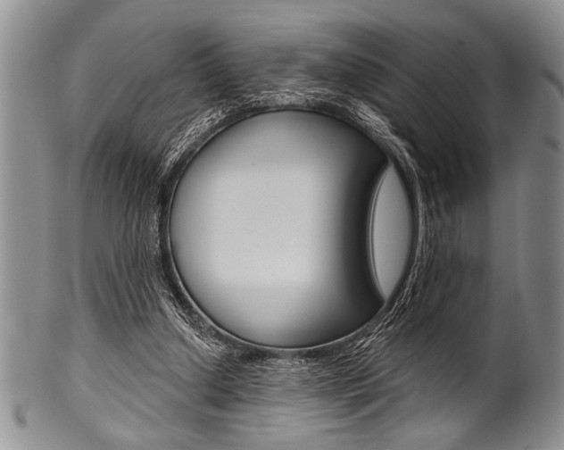 X0000101120250200806261052