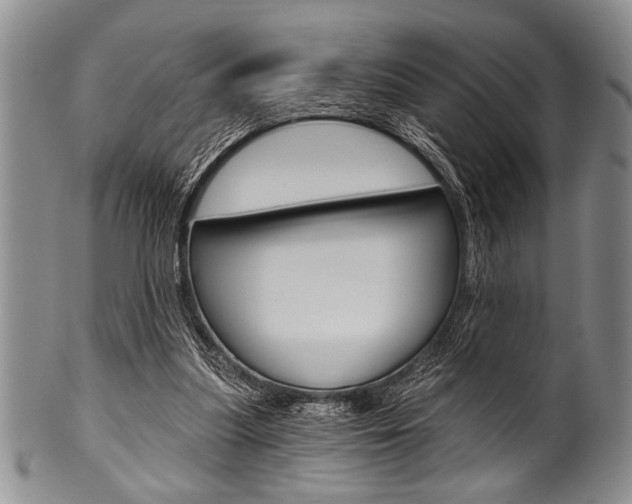 X0000101120251200806261052