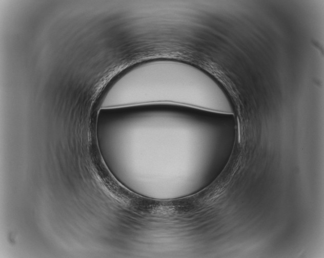 X0000101120252200806261052