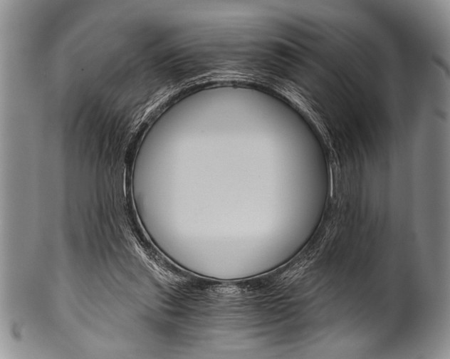 X0000101120253200806261052