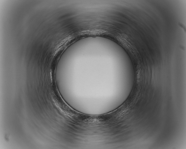 X0000101120254200806261052