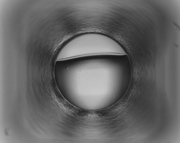 X0000101120256200806261052