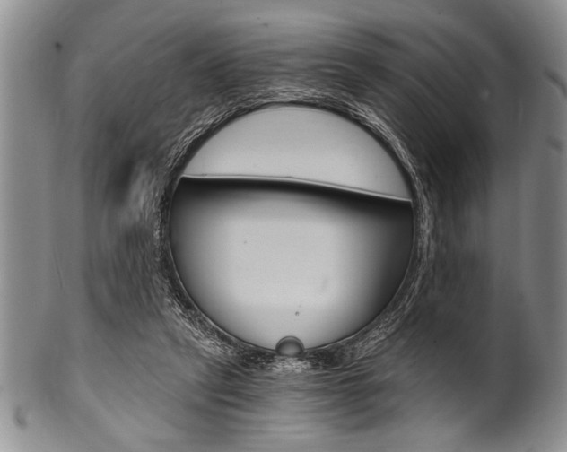X0000101120257200806261052