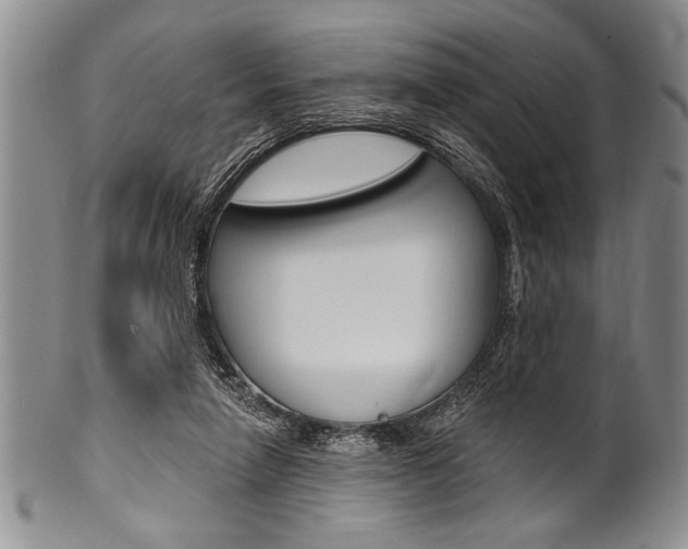 X0000101120258200806261052