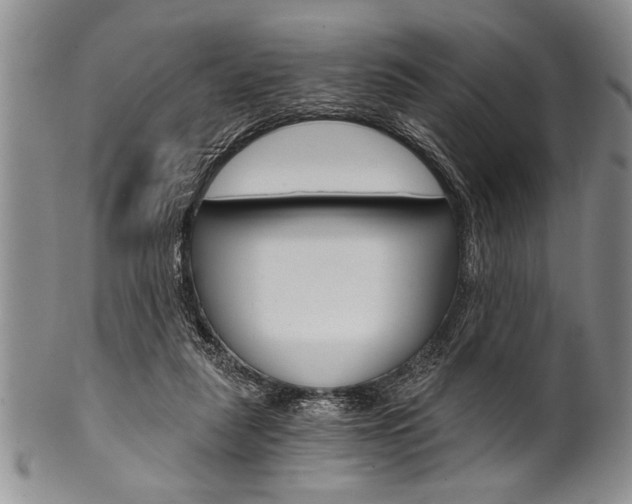 X0000101120259200806261052