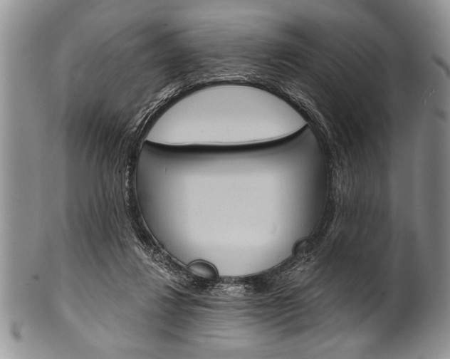 X0000101120260200806261052
