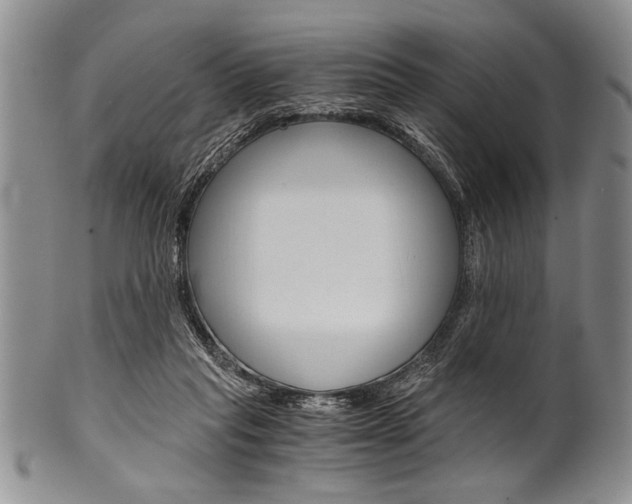 X0000101120261200806261052