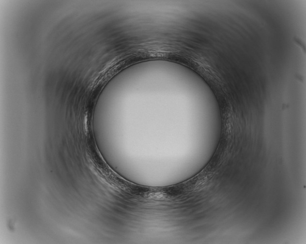 X0000101120262200806261052