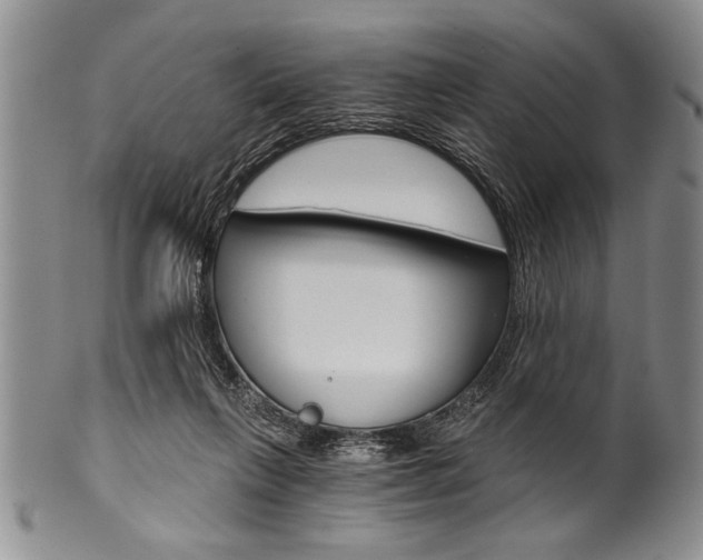 X0000101120263200806261052