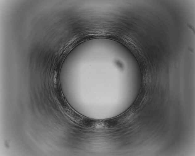 X0000101120264200806261052