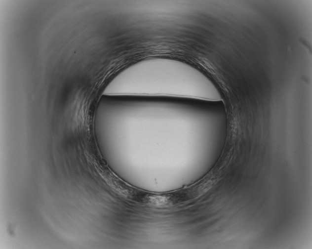 X0000101120265200806261052