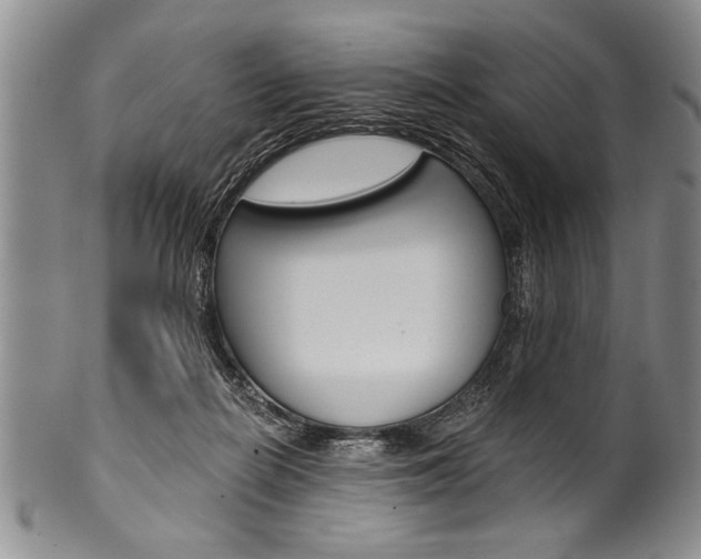 X0000101120266200806261052