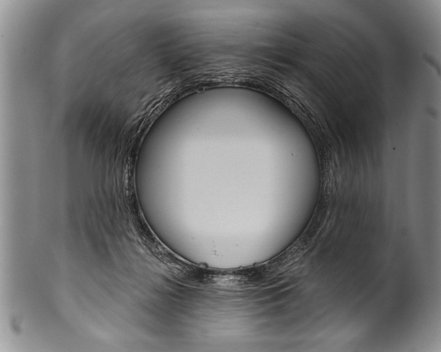 X0000101120268200806261052