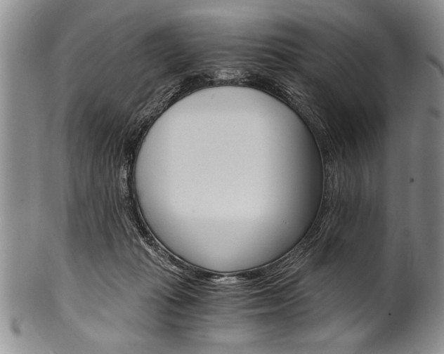 X0000101120269200806261052