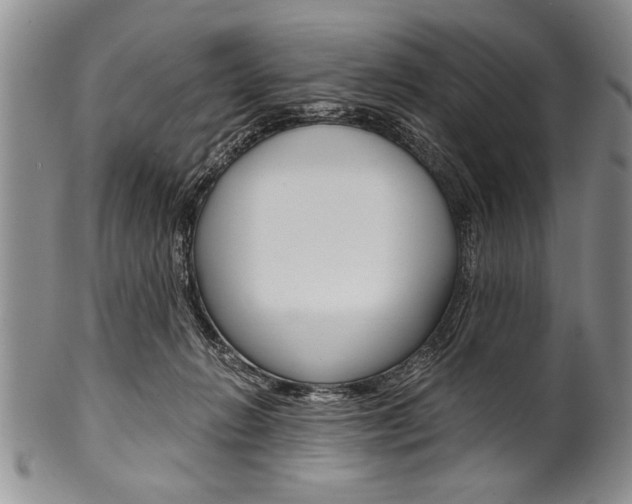 X0000101120270200806261052