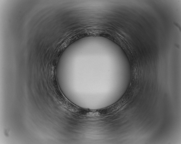 X0000101120271200806261052