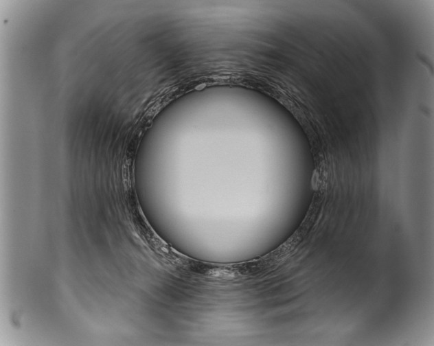 X0000101120272200806261052