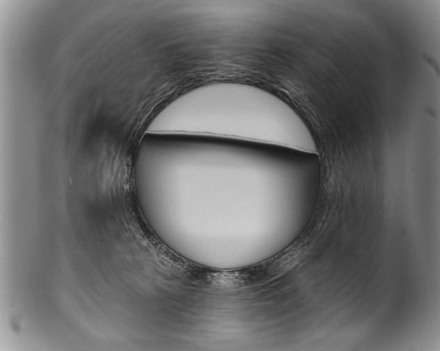 X0000101120273200806261052
