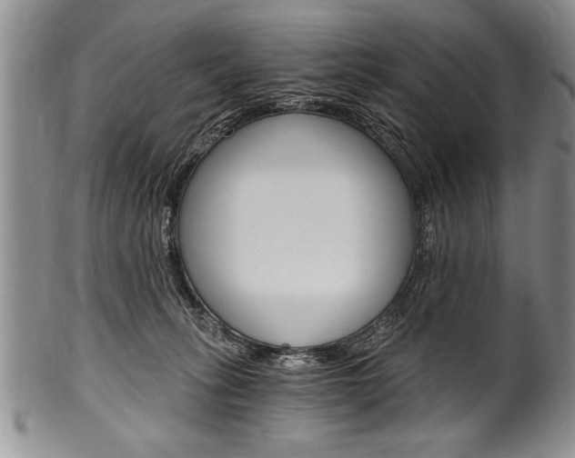 X0000101120275200806261052