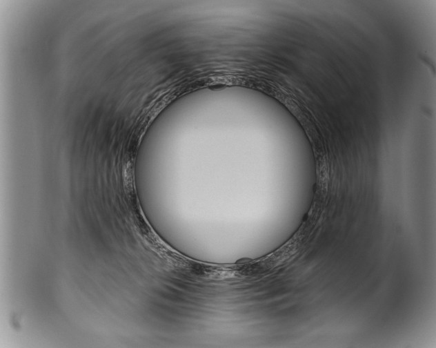 X0000101120276200806261052