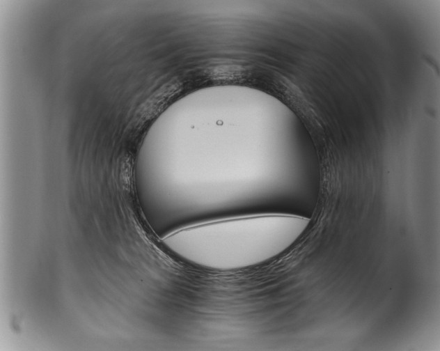 X0000101120277200806261052