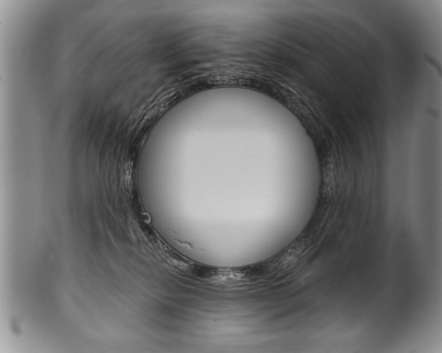 X0000101120278200806261052