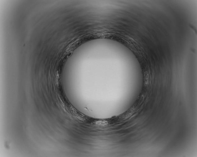 X0000101120279200806261052
