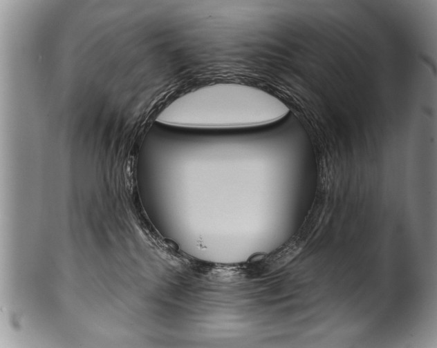X0000101120280200806261052