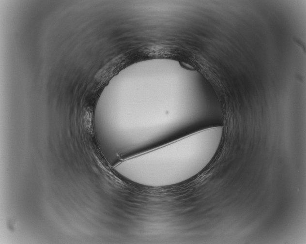 X0000101120281200806261052