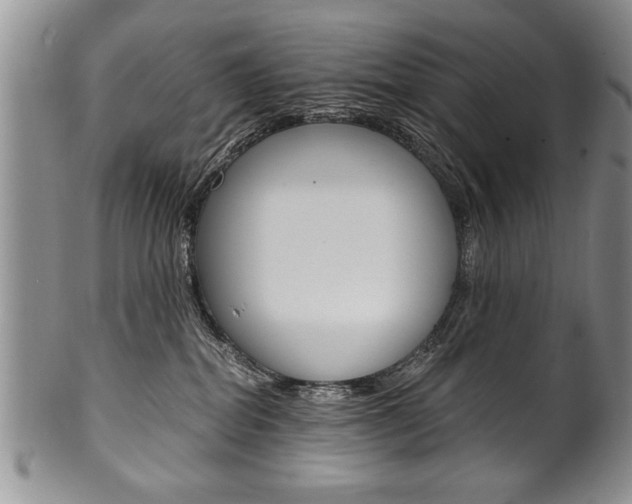 X0000101120282200806261052