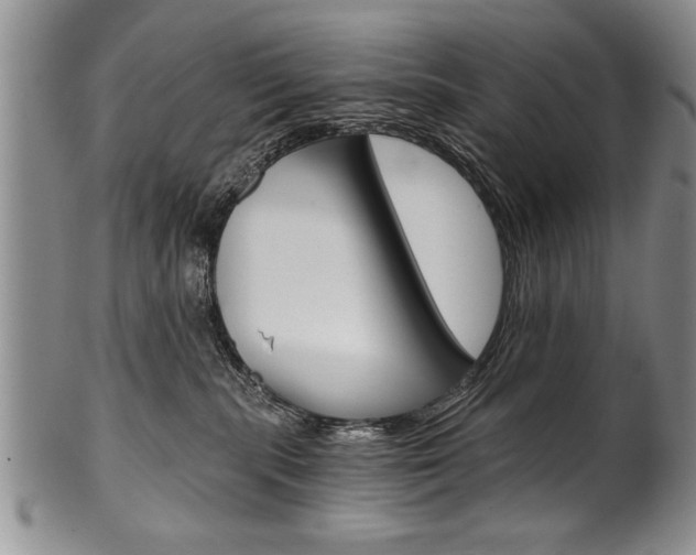 X0000101120283200806261052