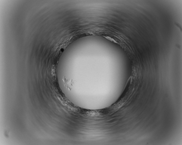 X0000101120284200806261052