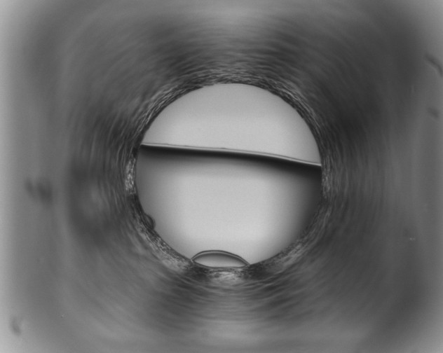 X0000101120285200806261052