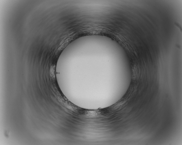 X0000101120286200806261052