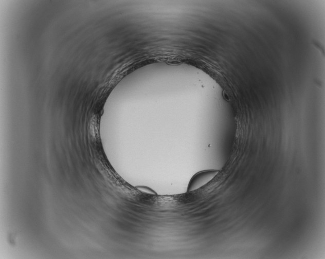X0000101120287200806261052