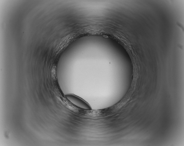 X0000101120288200806261052